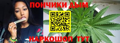 шишки Будённовск