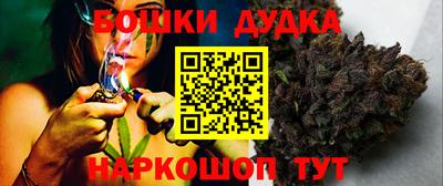 шишки Будённовск