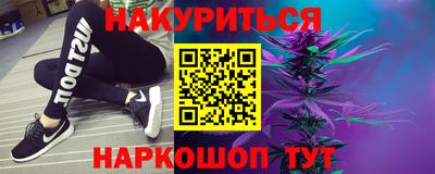 шишки Будённовск