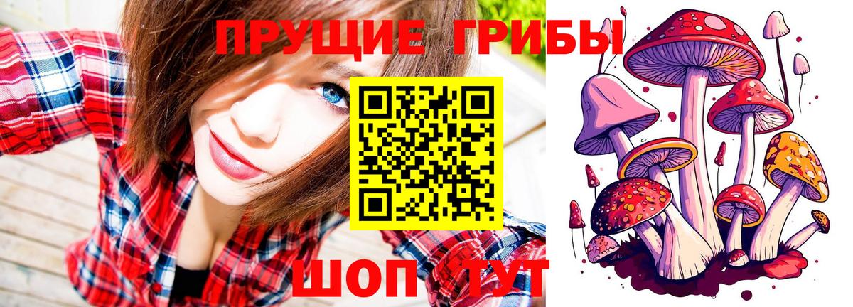 Пушкино  Галлюциногенные грибы ЛСД  Вход с VPN 
